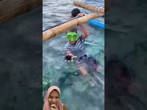 Awalnya Kukira Rambutan... Ternyata Bulu Babi di Dalam Air 😱‼️#shorts #dubbing #memes