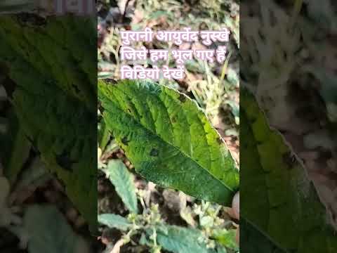 पुराने पोस्ट समझिए और नुस्खे और अच्छा लगे तो संदेश दें