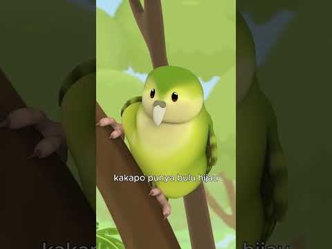 Spesies burung beo ini tidak bisa terbang! 🦜 | Leo Si Penjaga Alam | #shorts