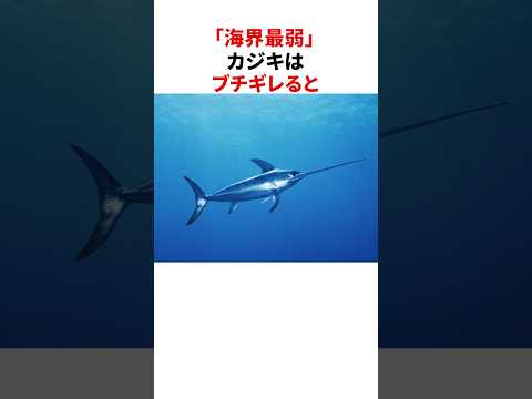 「海界最弱」カジキの意外な雑学 #shorts