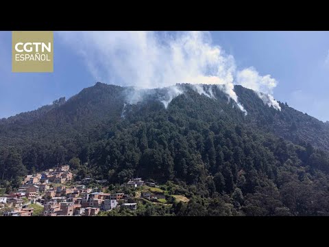 Más de 17.000 hectáreas calcinadas por incendios forestales en Colombia