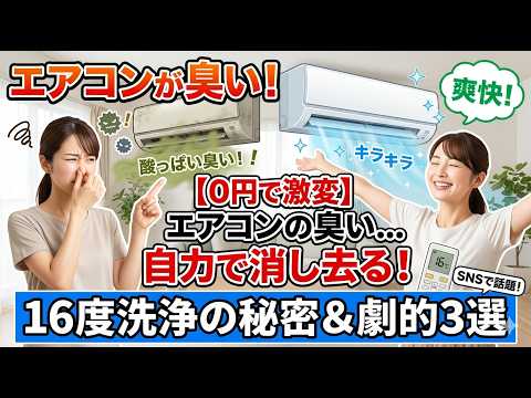 ​【0円で激変】エアコンの「酸っぱい臭い」を自力で消し去る！SNSで話題の16度洗浄＆劇的解決法3選