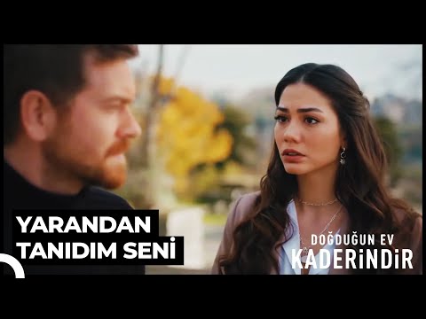 Aşkı Büyülü Sandığımız İçin Üzülüyoruz | Doğduğun Ev Kaderindir