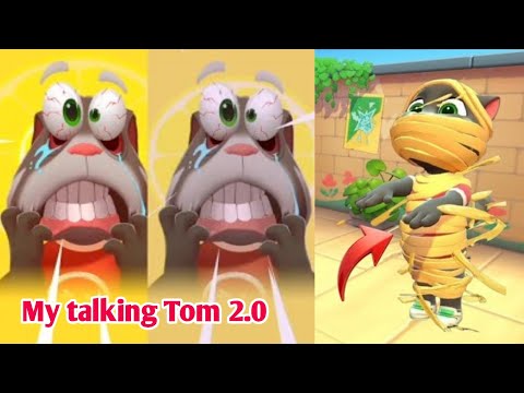 My talking Tom 2.0 Experiment With Chilli 🌶 And Mango 🥭 2025 New Update 😋