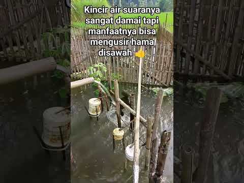 Kreatif!!! Kincir Air Pengusir Hama Disawah #shorts
