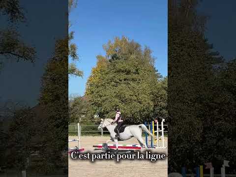 Vlog du 12/10 #horse #horsetraining