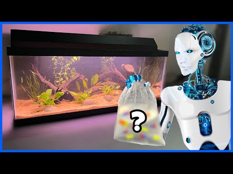 Using AI To BUY FISH For My AQUARIUM? ✅ Install Raid for Free Mobile and PC_ https://clik.cc/vBZXy and get a special starter pack wit