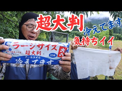 冷え冷えクールシート「超大判 ラージサイズ 冷えてます」最高に気持ち良かった！ Mowing