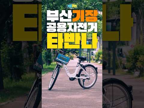 기장카먼~ 타반나