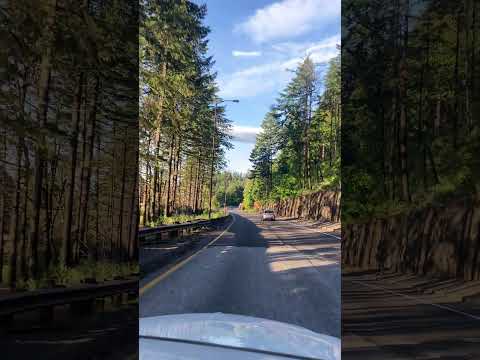 🤳 #foryou #shorts