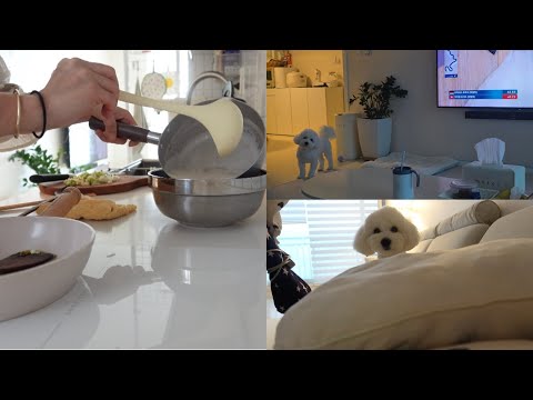 오랜만의 브이로그 | 대왕 말티푸 콩이와의 일상 |  아구찜에 혼술 | 한 살 먹으니 더 바쁘게 흘러갔던 시간들