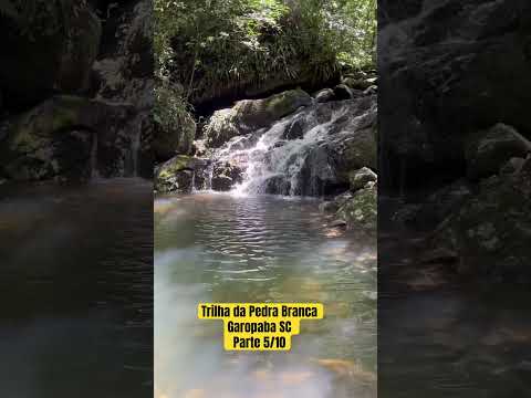 Trilha da Pedra Branca Garopaba SC Parte 5/10