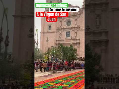 el dia  de la Concepcion,caminos de flores a la Virgencita de San Juan para su procesión #viral