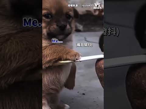 這舉例十分精闢 #騎車 ｜VS MEDIAｘ_route41_