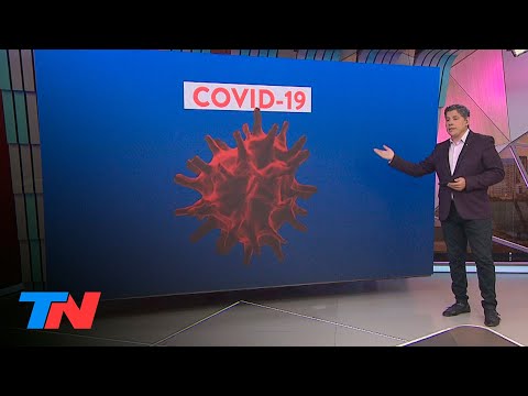 Coronavirus - La Argentina en cuarentena | Las líneas de defensa en la batalla ccontra el COVID-19