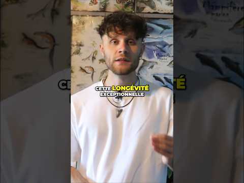 Pourquoi les requins sont les maîtres de l’évolution ? 🦈 #requin #shark #evolution #animal