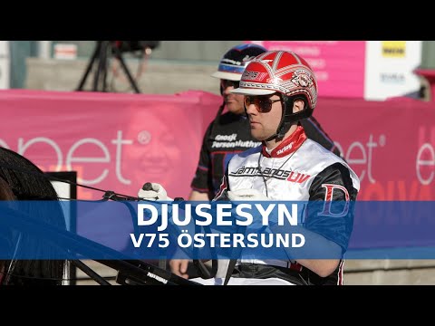 V75 Östersund | Mats E Djuses V75-analys