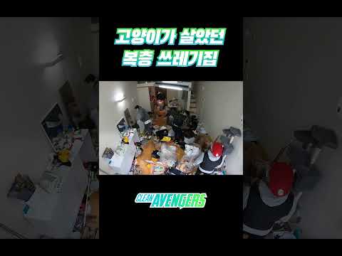 여기서 고양이가 어떻게 산거야?  | 클린어벤져스 #쓰레기집 #특수청소 #이사청소