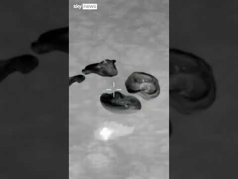 Moment space capsule splashes down after mission cut short due to "serious medical condition"