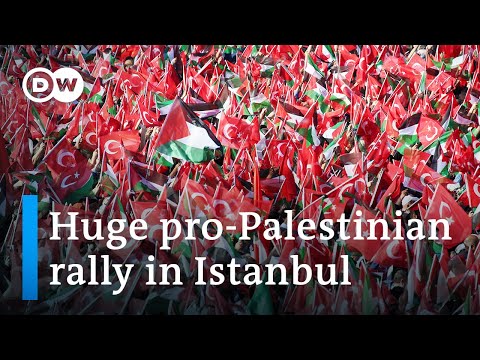 Turkey's Erdogan calls on Israel to end 'madness' in Gaza | DW News