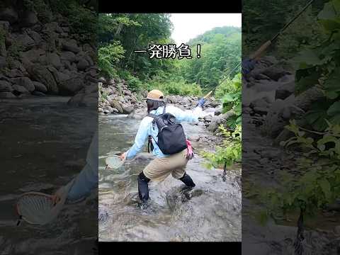 北海道でテンカラ釣り🎣#渓流釣り