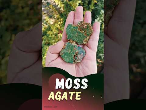 special moss agate stone #agate #gemstone #shorts