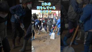 幡多農業高校で酪農体験！ #高知県  #四万十市 #児童館