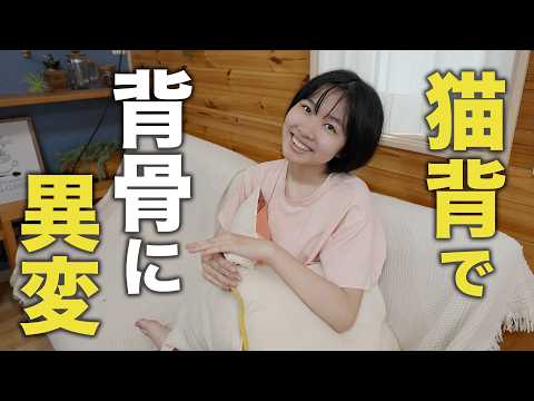 【ご報告】体に不調を感じ病院に行ったらまさかの事態。今後について