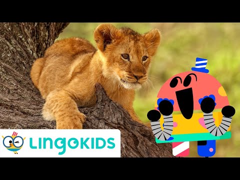 SAVANNAH SONG 🦁🦒| Animals Songs For Kids | Lingokids