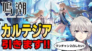 【#鳴潮】ガチャで神引きします(2凸するかも？)&カルテジア(フルールドリス)の性能をチェック！初見・初心者歓迎！【#wutheringwa