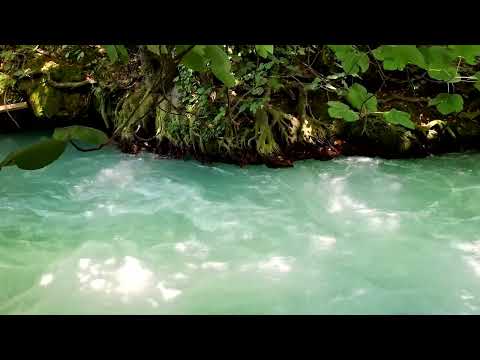 música para dormir e relaxar com sons da natureza