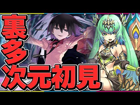 裏多次元に絶対勝つ男　初見【パズドラ】