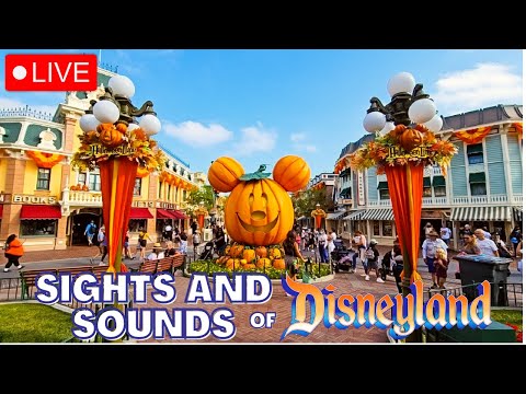 ✨️Disneyland SIGHTS & SOUNDS✨️ Disney Painting in the Park TMRW