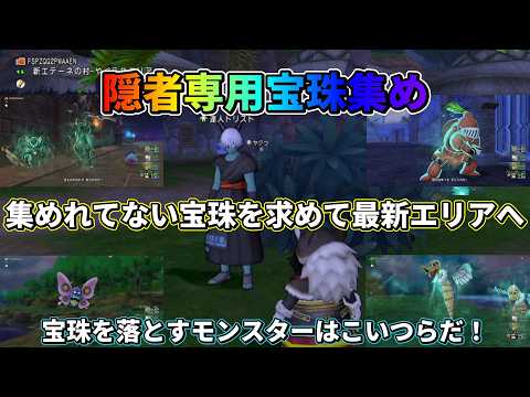 【ドラクエ10】最新職隠者で宝珠が揃って無かったので紹介しつつ集めてみた!
