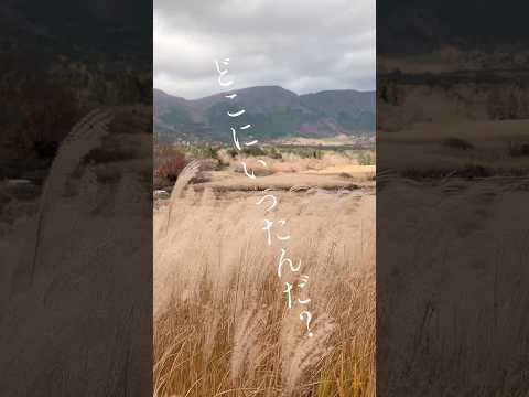 僕の愛した音楽は　#インディーズバンド #邦ロック #jrock #歌詞動画