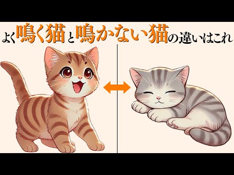 猫の動画サムネイル - 【よく鳴く猫と鳴かない猫の違い】 猫の雑学 #猫 #ねこ