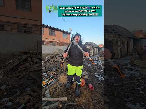 Битва гілкорізів: ДЕШЕВІ-ДОРОГІ #кущ #0668317625 #Полтава #Панянка75а