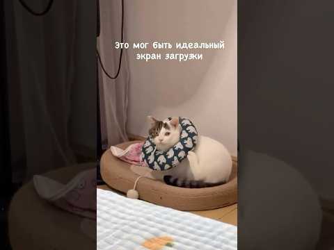 Подушка Чешется