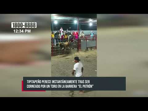 En Tipitapa una persona fue brutalmente embestida por un toro - Nicaragua