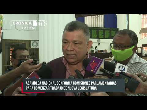 Asamblea conforma Comisiones Parlamentarias en Nicaragua