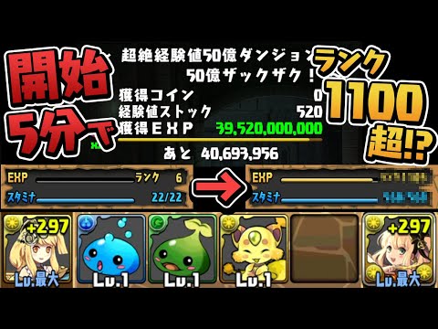 【超絶検証】新規アカウントで経験値50億ダンジョンやったらどうなっちゃうの！？【パズドラ】