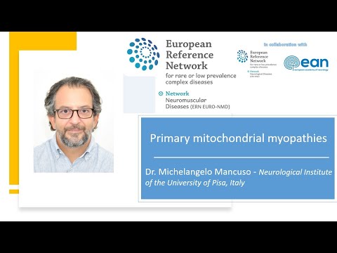Primary Mitochondrial Myopathies ​