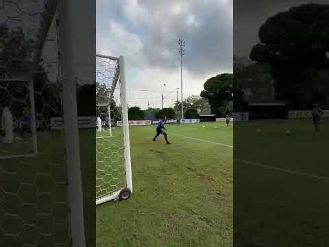 image para ilustrar o artigo