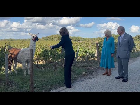 Visite de Charles III en France : le roi et Camilla font une rencontre insolite avec un Lama