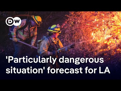 LA wildfires update: What to expect in the next 48 hours | DW News