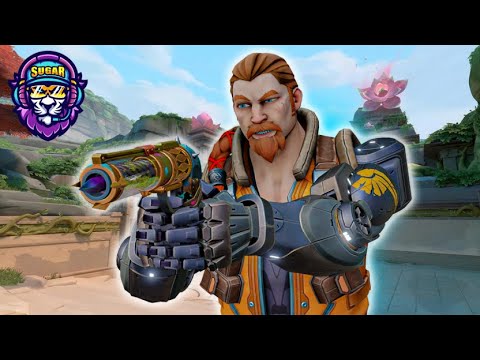 לייב ולורנט של עצבים