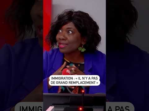 Immigration : Il n'y a pas de grand remplacement