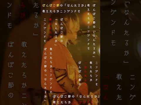 ぽんぽこ節の「なんたるか」 #ネクライトーキー #ネクライメジャー5周年