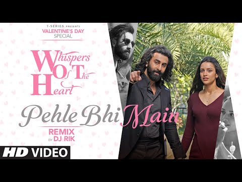 Pehle Bhi Main (Remix) Ranbir Kapoor, Tripti Dimri, Vishal Mishra | DJ Rik | Animal