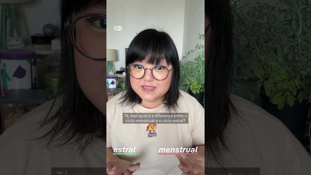 Sabia que cachorras não menstruam